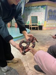 -酷嗒动物文化乐园(cutezoo西溪乐天城店)