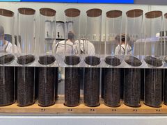 -喜茶(迪士尼小镇DP店)