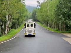 -五营红松林海景区