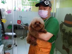 -酷狗靓猫宠物·洗护·美容·寄养(航北路店)