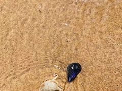 -南戴河旅游度假区