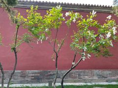 -北京市劳动人民文化宫(太庙)