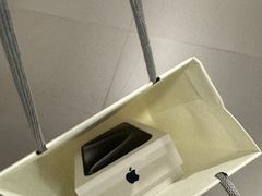 -Apple零售店(中街大悦城店)