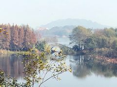 -上海市保健医疗中心(华东疗养院)
