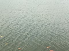 景点-湖光岩风景区