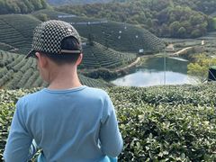 -龙坞茶村