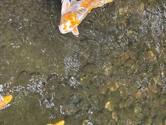 -晶宝温泉农庄