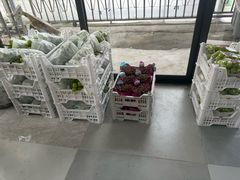 -马陆小张葡萄园农家乐