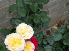 -回龙窝历史文化街区