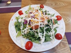 蔬菜芝士沙拉-食彩美印度特色美食餐厅·印度料理