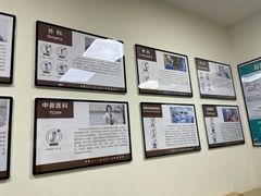 -美联众合动物医院·24h转诊中心