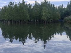 -白鹭湾湿地公园
