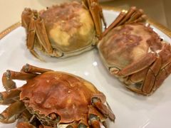清蒸大闸蟹-王宝和酒家(黄浦店)