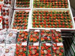 -哈尔信食品超市(哈尔滨王府井购物中心店)