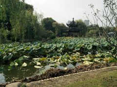 -花溪公园
