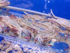 -劲莲舟山海鲜(东书房路店)