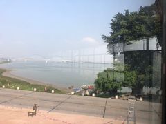 -八仔大富楼·河鲜(西江店)