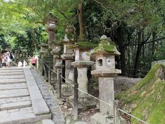 -奈良公园