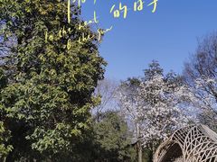 -杭州植物园