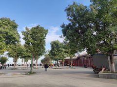 -象山森林公园