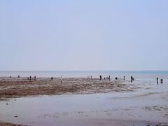 -天津东疆湾沙滩景区