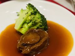 -龙悦湾酒家·八阵鱼生·渔人码头店