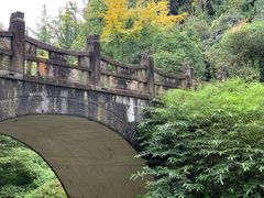 -凤栖山