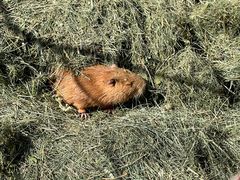 -水上乐园·欢乐世界