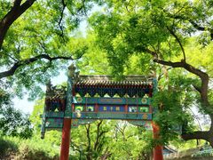 -北京国子监胡同
