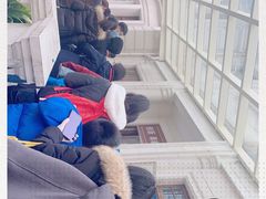 -上海市眼病防治中心(康定路院区)