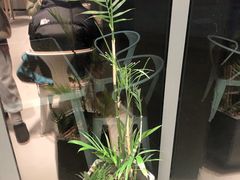 -古茗(前进西路店)