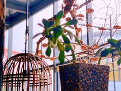 -几荷·恰似故人来(秀水广场店)