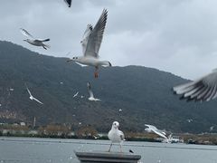 -昆明洲际酒店