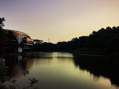 -深圳国际园林花卉博览园