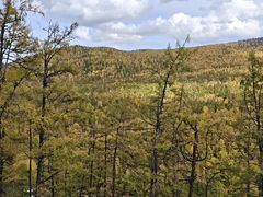 -莫尔道嘎国家森林公园