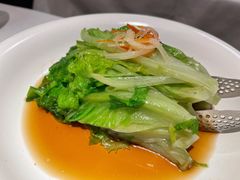 白灼罗马生菜-悦融琥珀·京鲁菜·海味珍品(西单店)