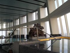 上海浦东丽思卡尔顿-北外滩套房泳池全景-上海浦东丽思卡尔顿酒店