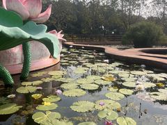 -广州莲花山旅游区