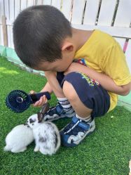 点击看大图 -萌宠亲子动物乐园(槐房万达店)