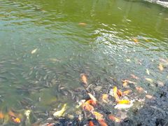 -揭阳学宫(榕城区)