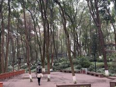 -忠山公园