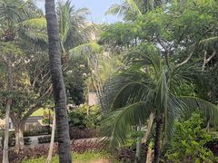 -亚龙湾喜来登·美景台大堂吧