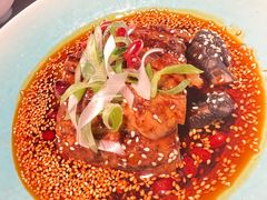 -南堂馆·新川菜(春熙路店)