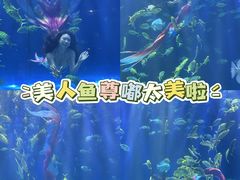 -华夏文旅西安度假区