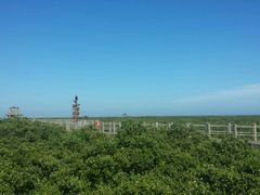 -北海金海湾红树林生态旅游区