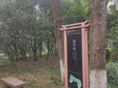-塔子山公园