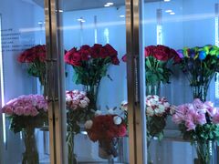 -ROSEONLY诺誓(国际广场购物中心店)