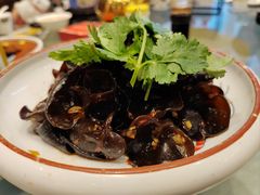 凉拌木耳-梁溪河畔·吉府花园(南长街南下塘店)