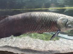 -北京海洋馆