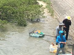 -北海金海湾红树林生态旅游区